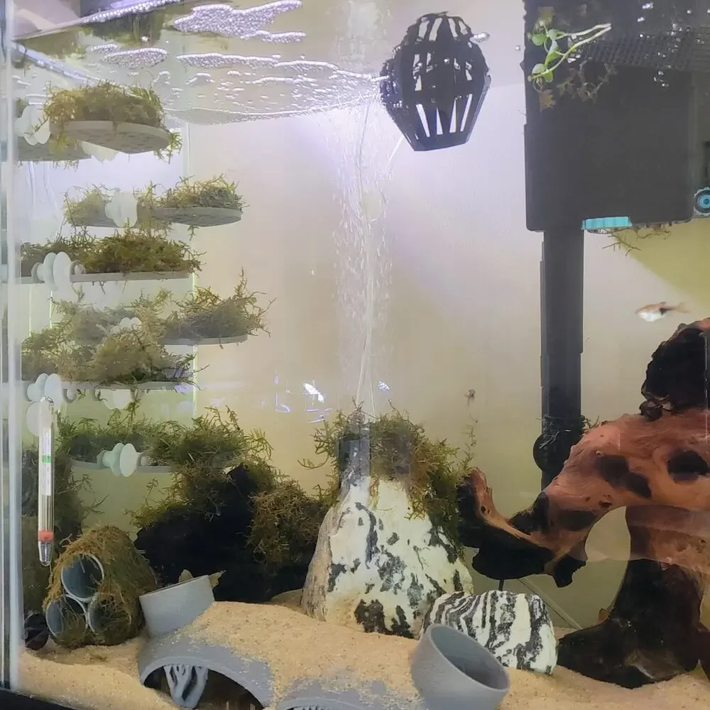 Aquarium Java Moss Shelf | Moss Ledge for Fish Tanks | Aquascaping Plant Holder